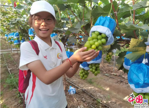 1661237590362187.png 金牌5.png