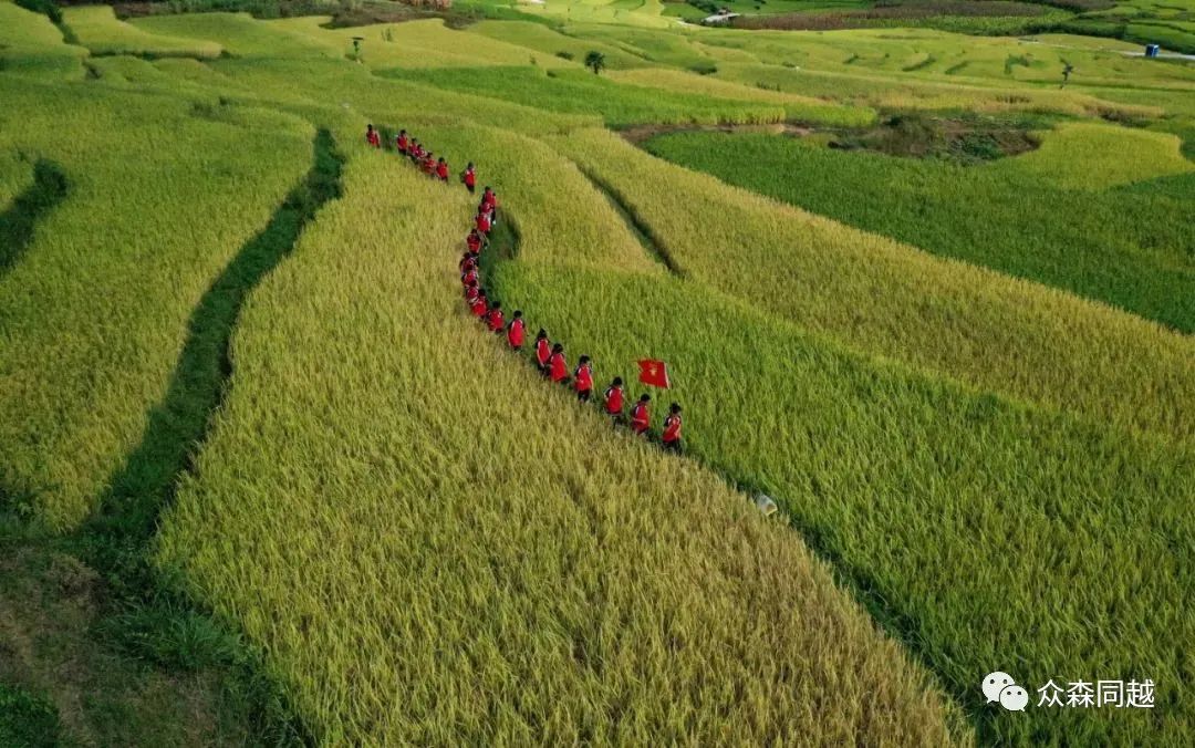 1663732980693875.jpg 22.jpg