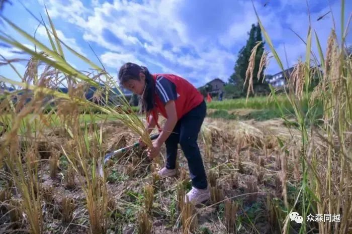 1663741726398859.jpg 33.jpg