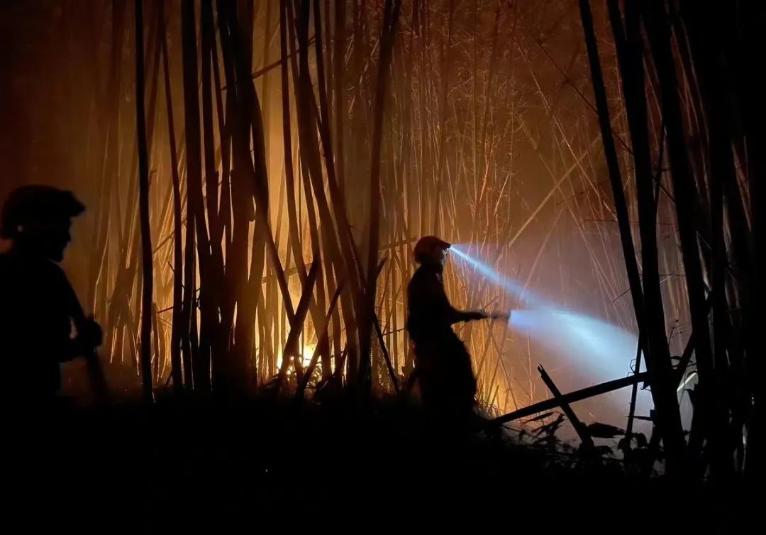 1669190330485093.jpg 8.jpg