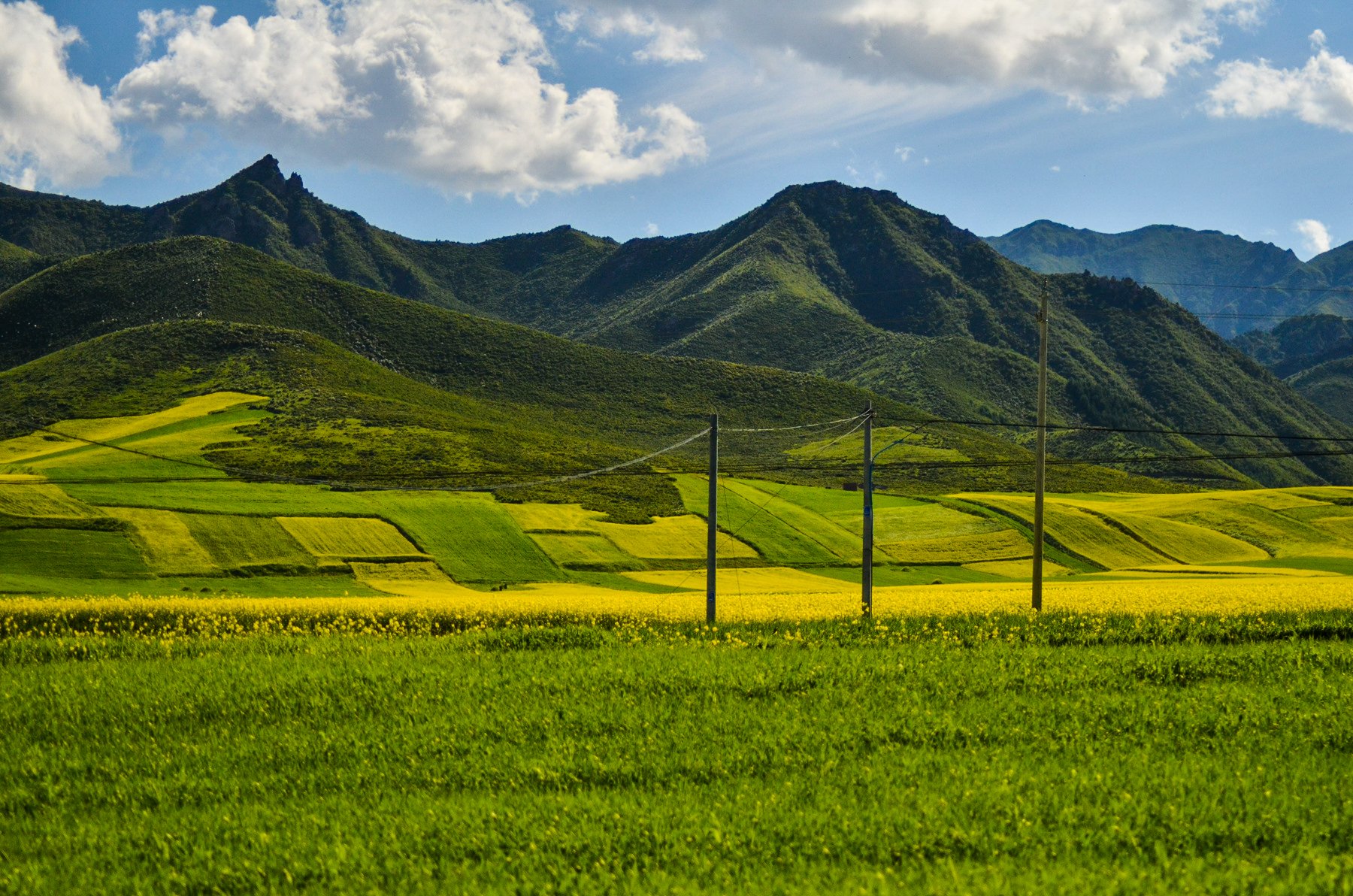 1678859134553963.jpg 3-4.jpg