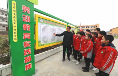 1683516980432718.png image.png