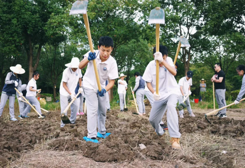 1683517019754828.png image.png