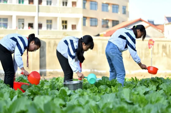 1683517048889079.png image.png