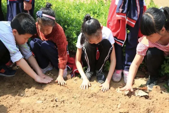 1683517070316373.png image.png