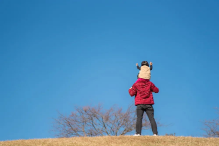 1699607449830161.png image.png