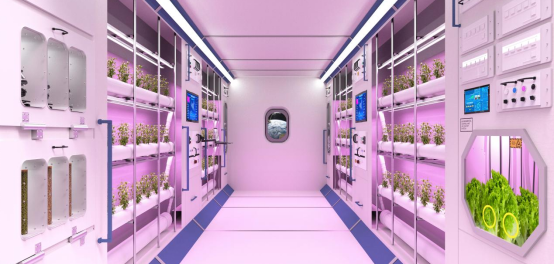 1740721802609239.png image.png