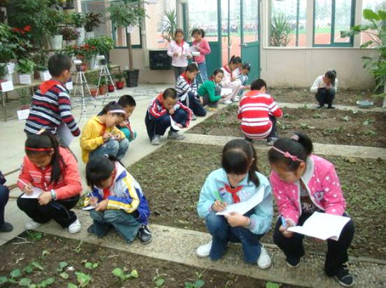 1740726376602275.png image.png