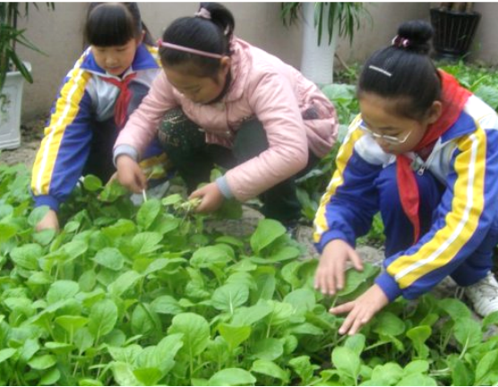 1740726394147512.png image.png