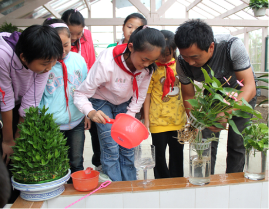 1740726402766618.png image.png